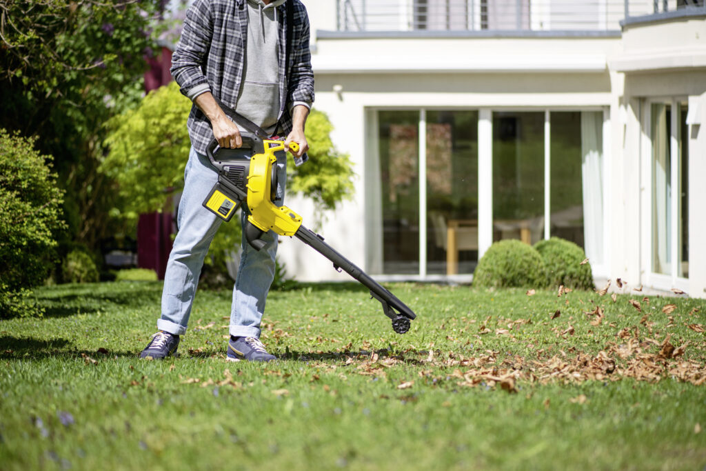 8 Pros And Cons Of Buying Battery Powered Leaf Blowers Comentarium